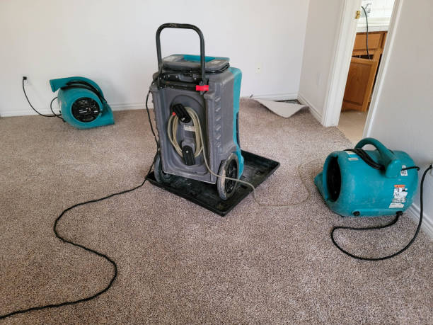 Best Water damage restoration near me  in Thorntown, IN