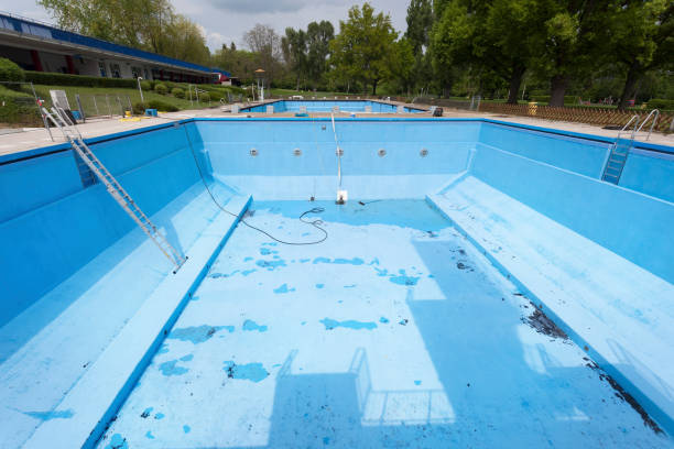 Best Water damage contractors near me  in Thorntown, IN