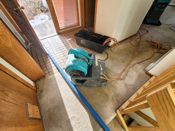 Best Flood damage cleanup  in Thorntown, IN