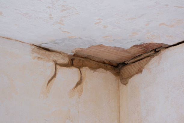 Best Commercial water damage restoration  in Thorntown, IN