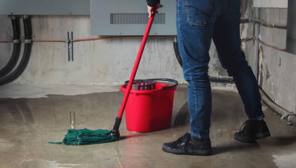 Best Water damage restoration near me  in Thorntown, IN