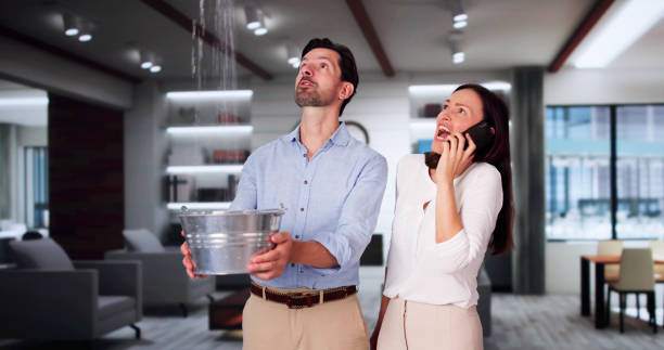 Best Mold removal after water damage  in Thorntown, IN